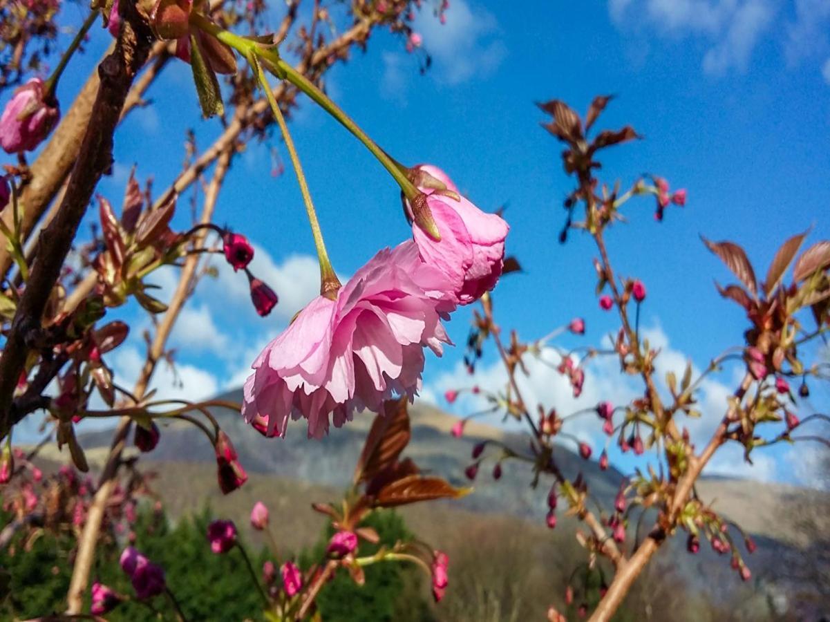 Padarn Hotel Llanberis Luaran gambar